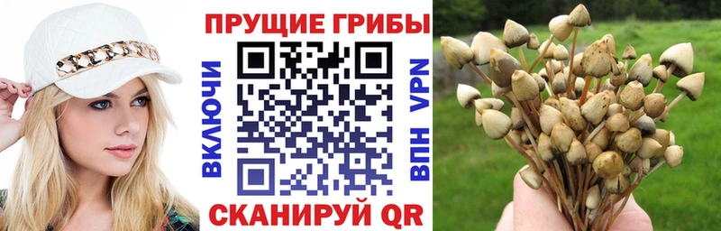 Галлюциногенные грибы мухоморы  Спасск-Дальний 