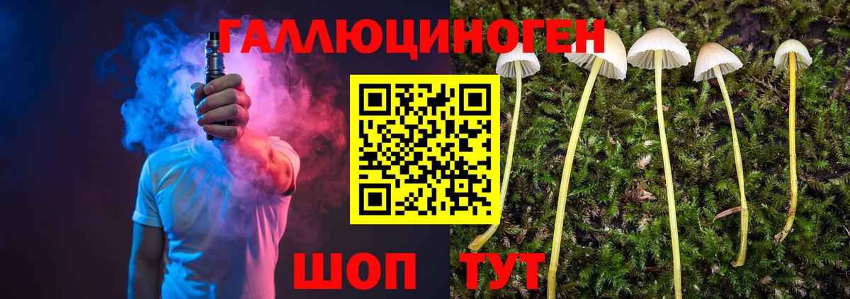 Псилоцибиновые грибы GOLDEN TEACHER  Вход с VPN  Спасск-Дальний 
